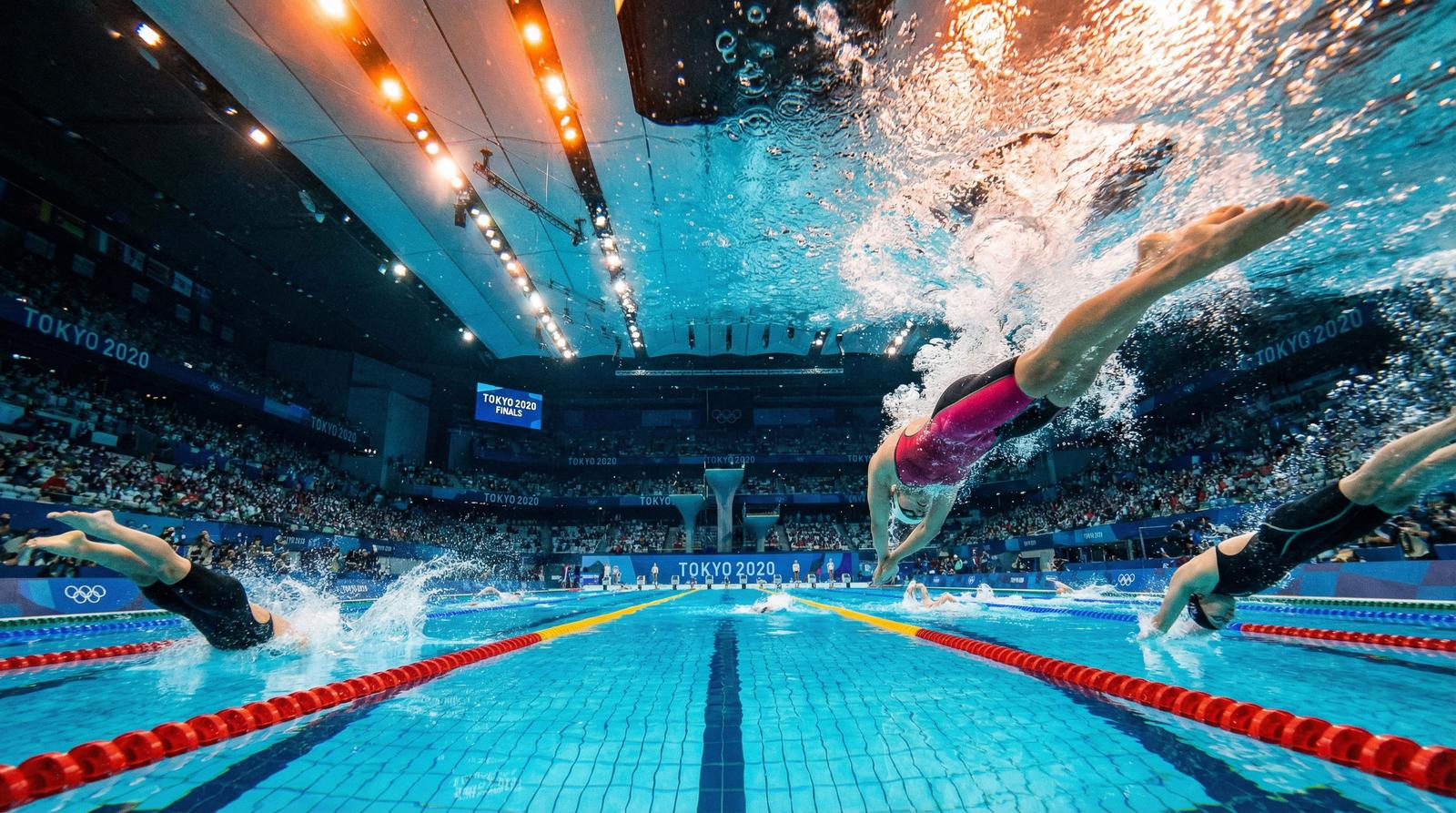 51动漫水下摄影视频